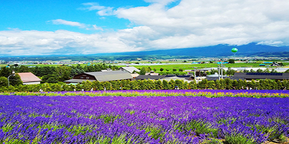从藏区白月光到有风的地方，探寻滇西北小众宝藏的极致浪漫