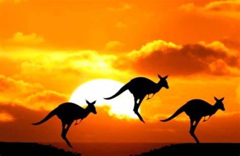 ​澳大利亚ETA签证（电子旅游许可 601类）