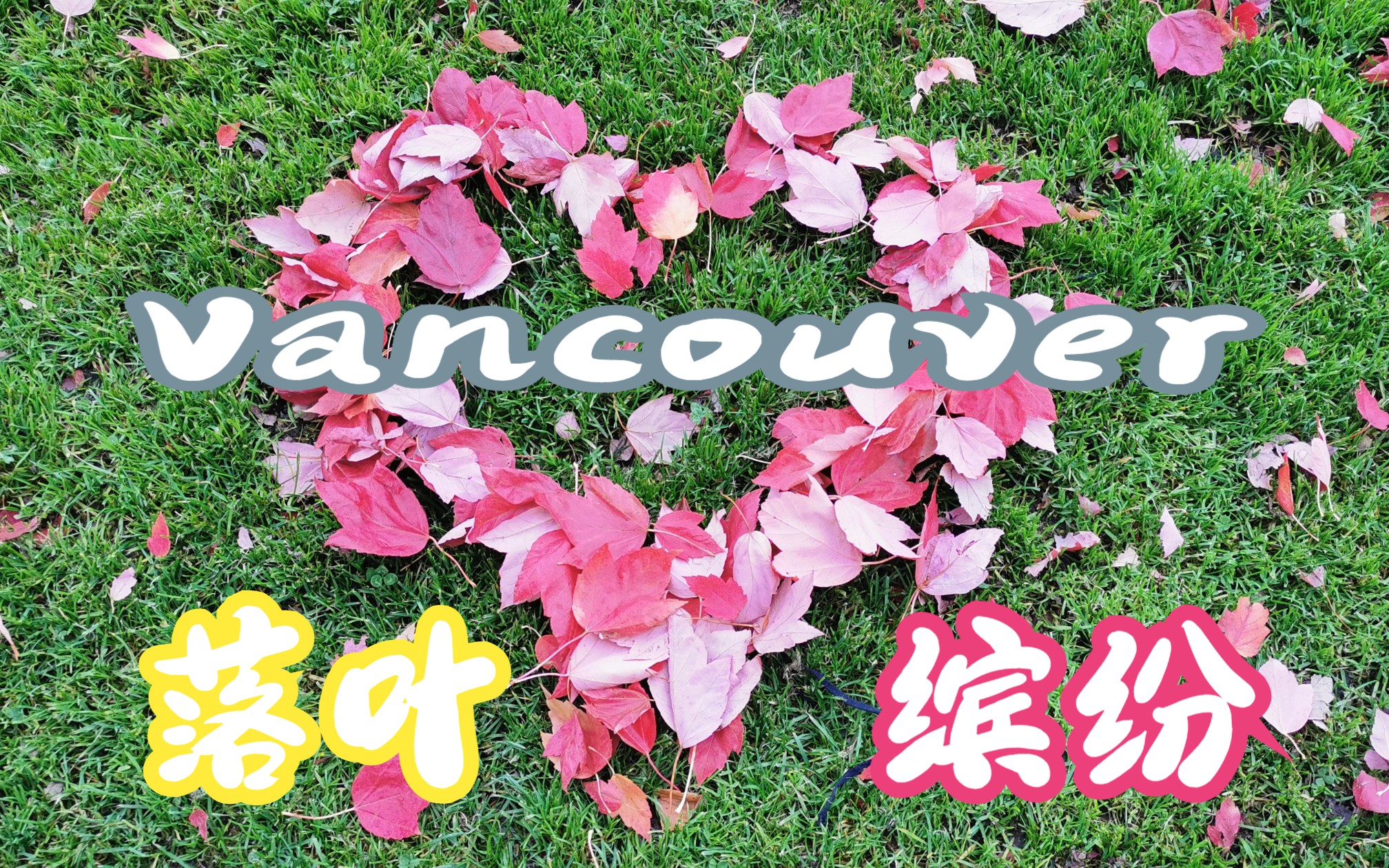 加拿大家属开放工作签证办理