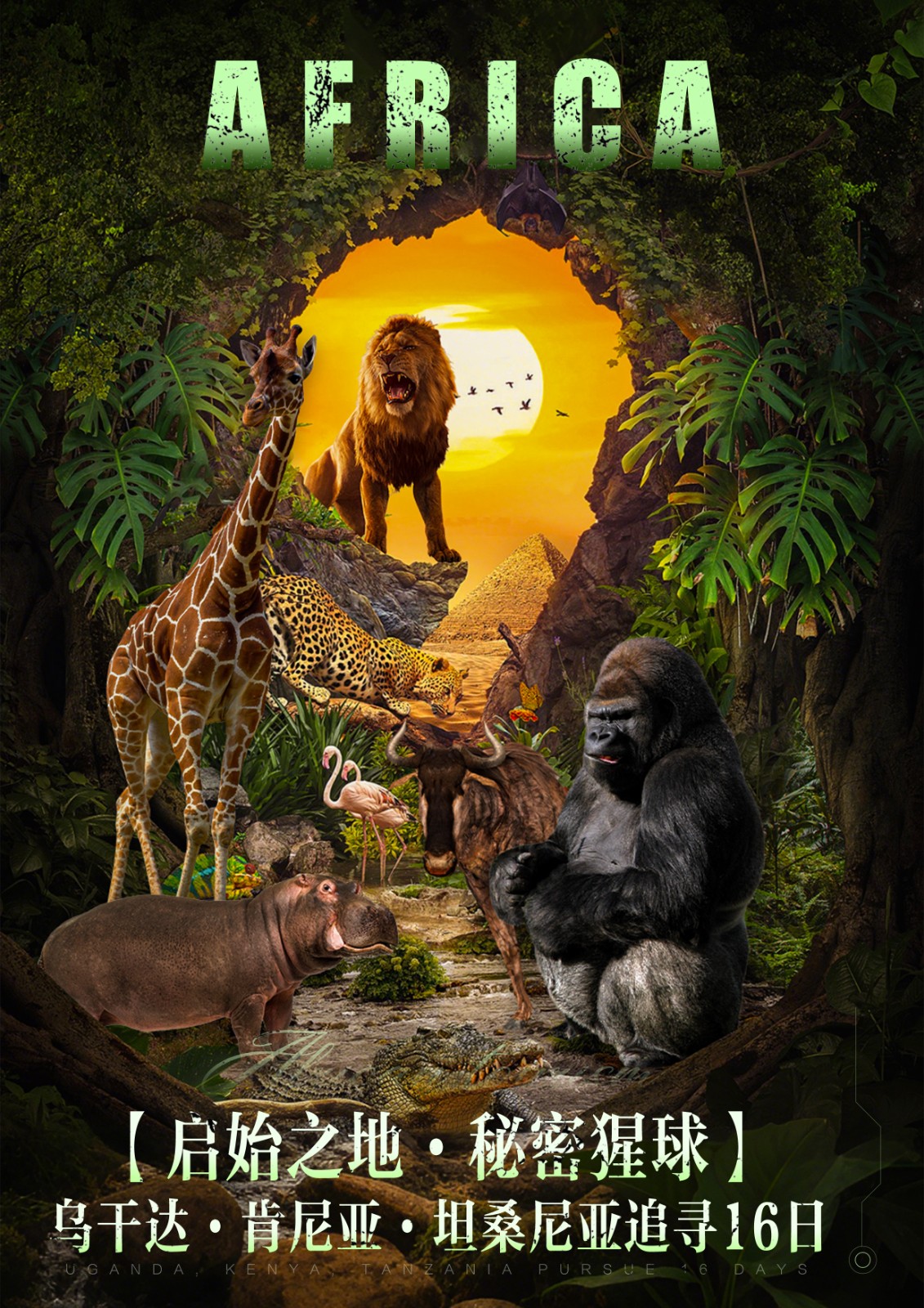 乌干达 肯尼亚 乌干达 肯尼亚