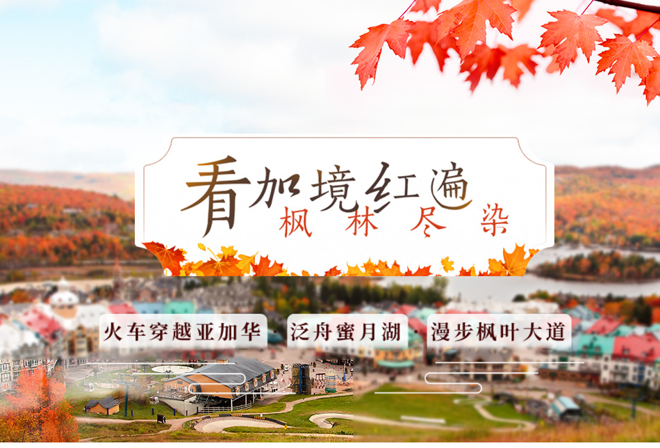 加拿大枫叶季节 加拿大枫叶季节