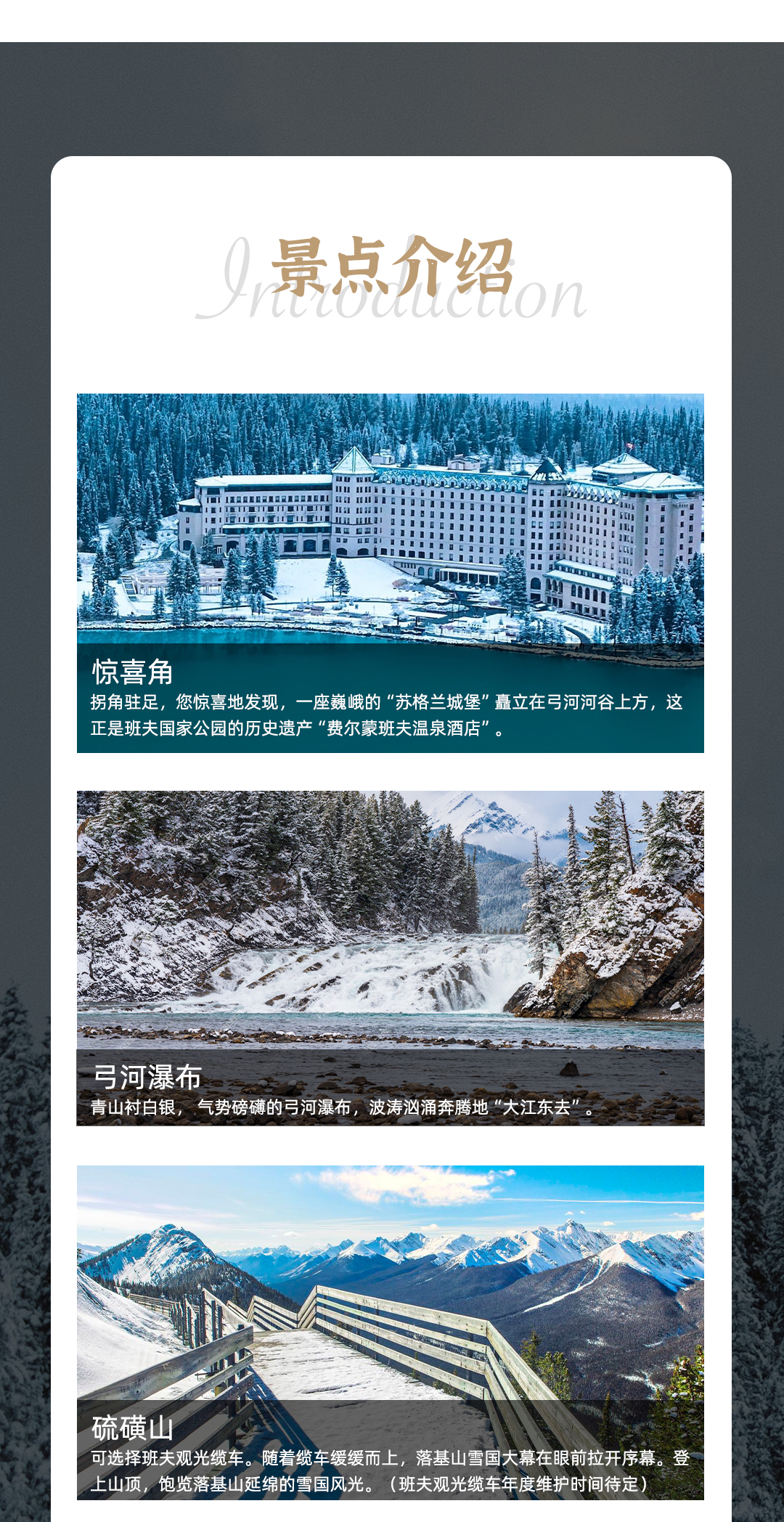 经典简介卡尔加里