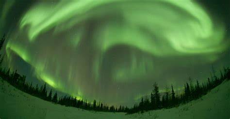 <1日>【极光热销】“极光村”阿拉斯加2025-2026北极光季 | 费尔班克斯北极光观测木屋