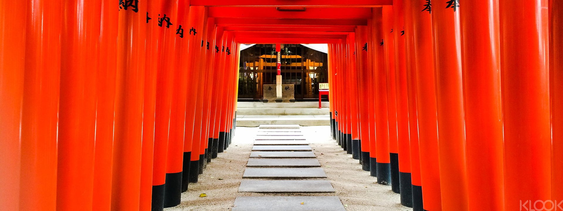 博多市区＆商店街购物之旅