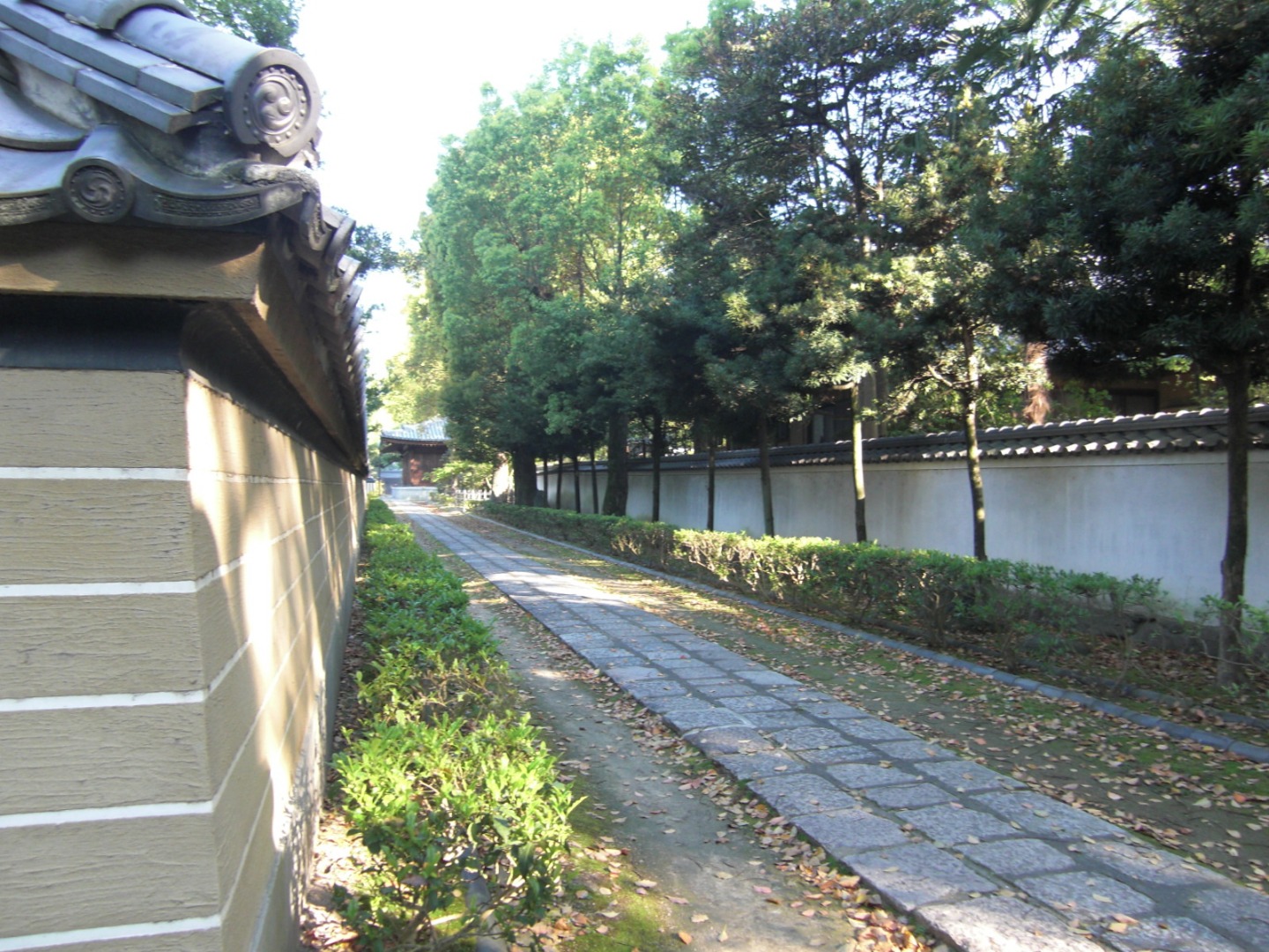 博多老街徒步导览