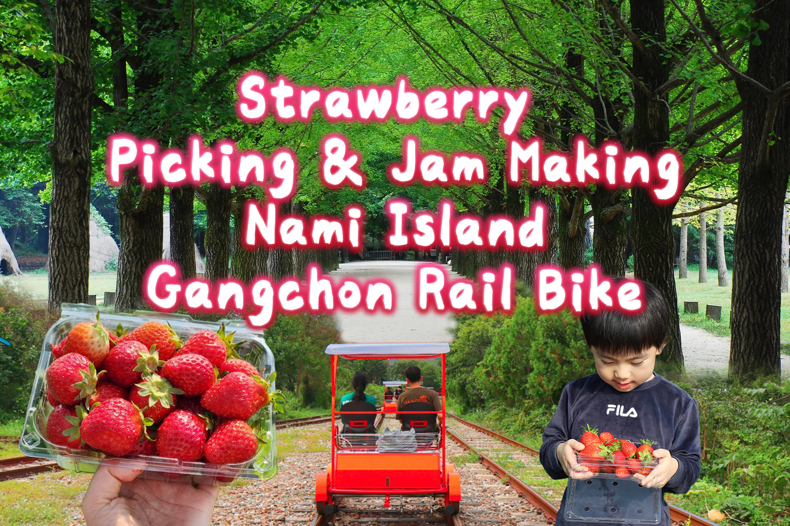 三岳山缆车 / 晨静树木园 灯光节 / 采摘草莓 / Eobi冰谷 / 雪橇 一日游