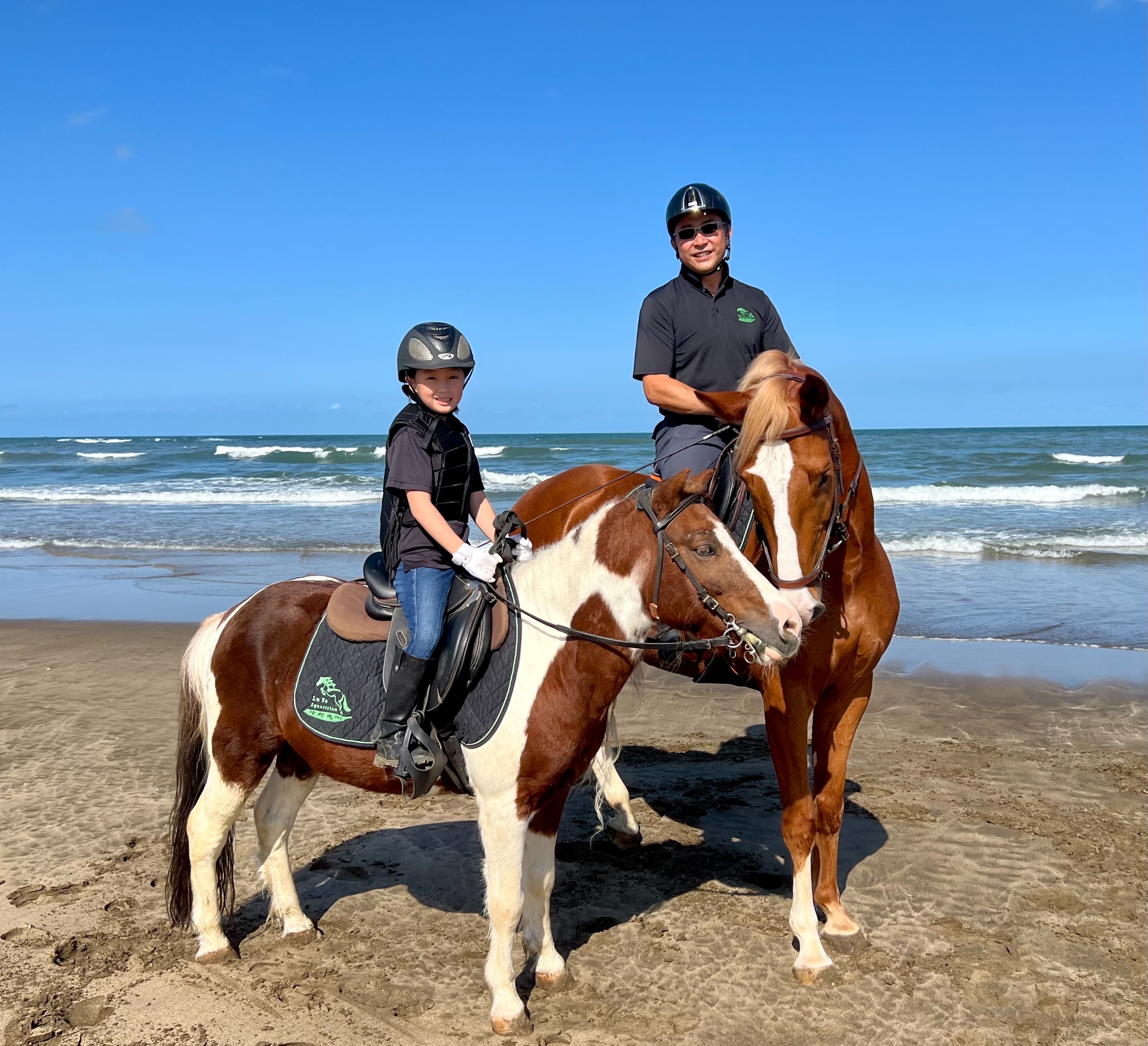 新北｜淡水马术入门初体验