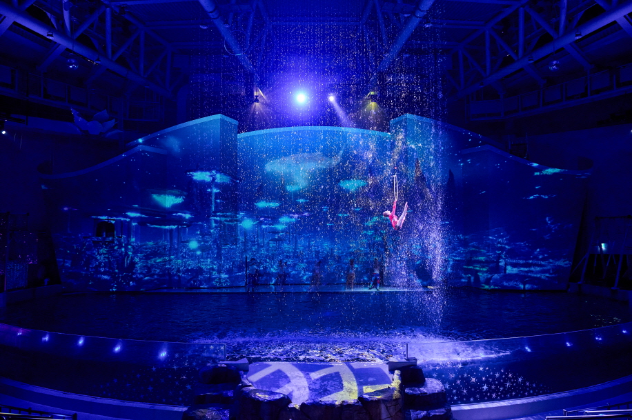【外籍游客限定】济州岛 Aqua Planet 水族馆门票