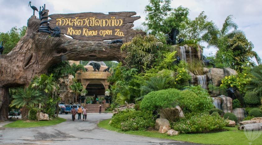 芭达雅绿山野生动物园门票