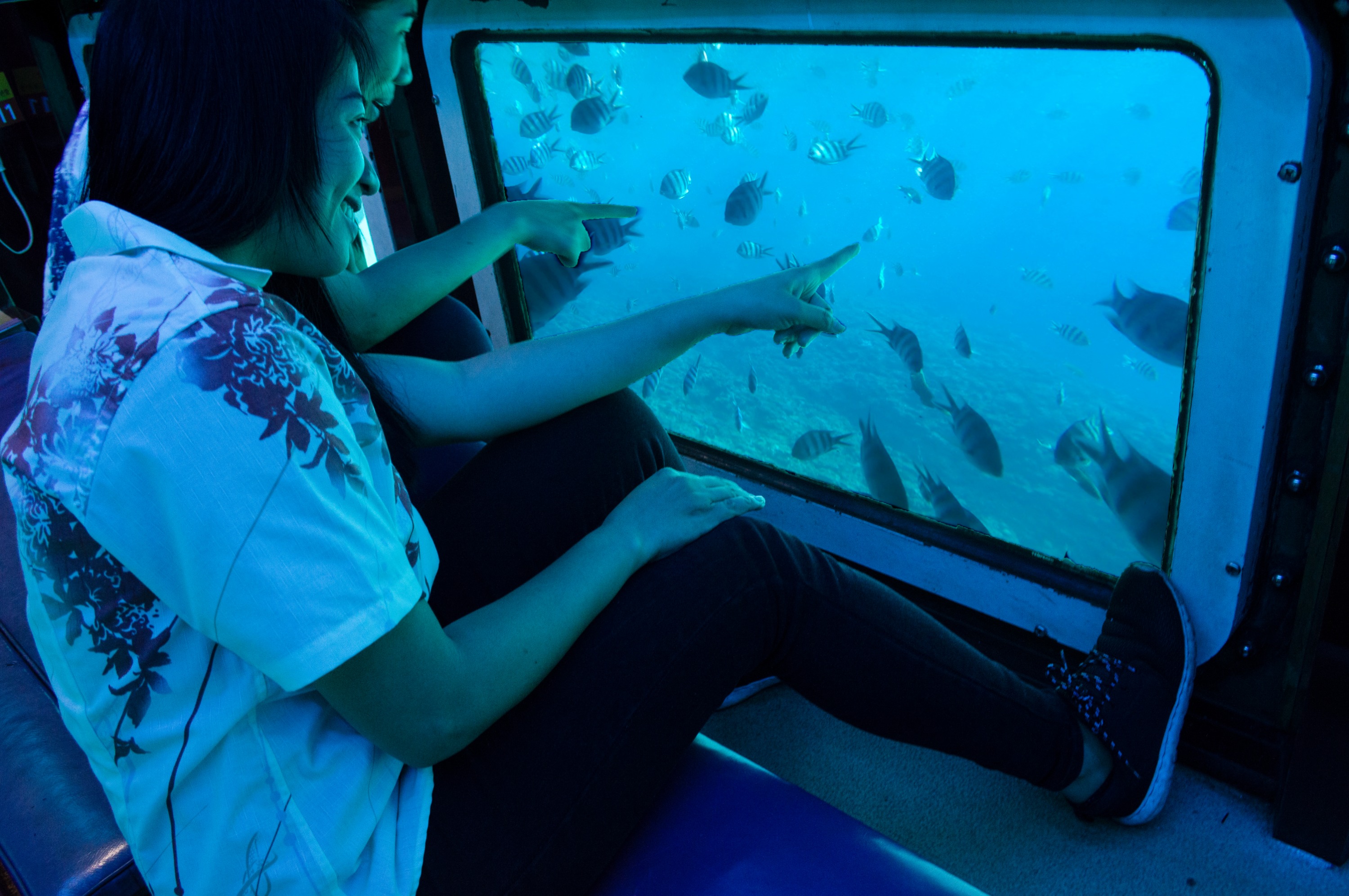 冲绳玻璃水底观光船之旅