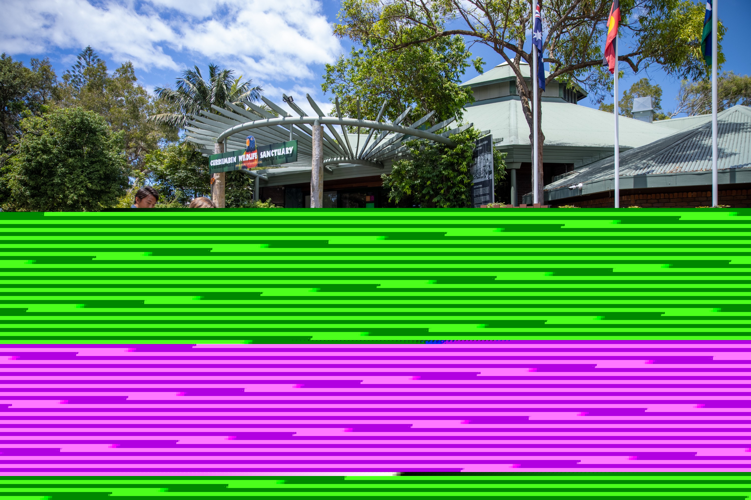 黄金海岸可伦宾野生动物保护区门票