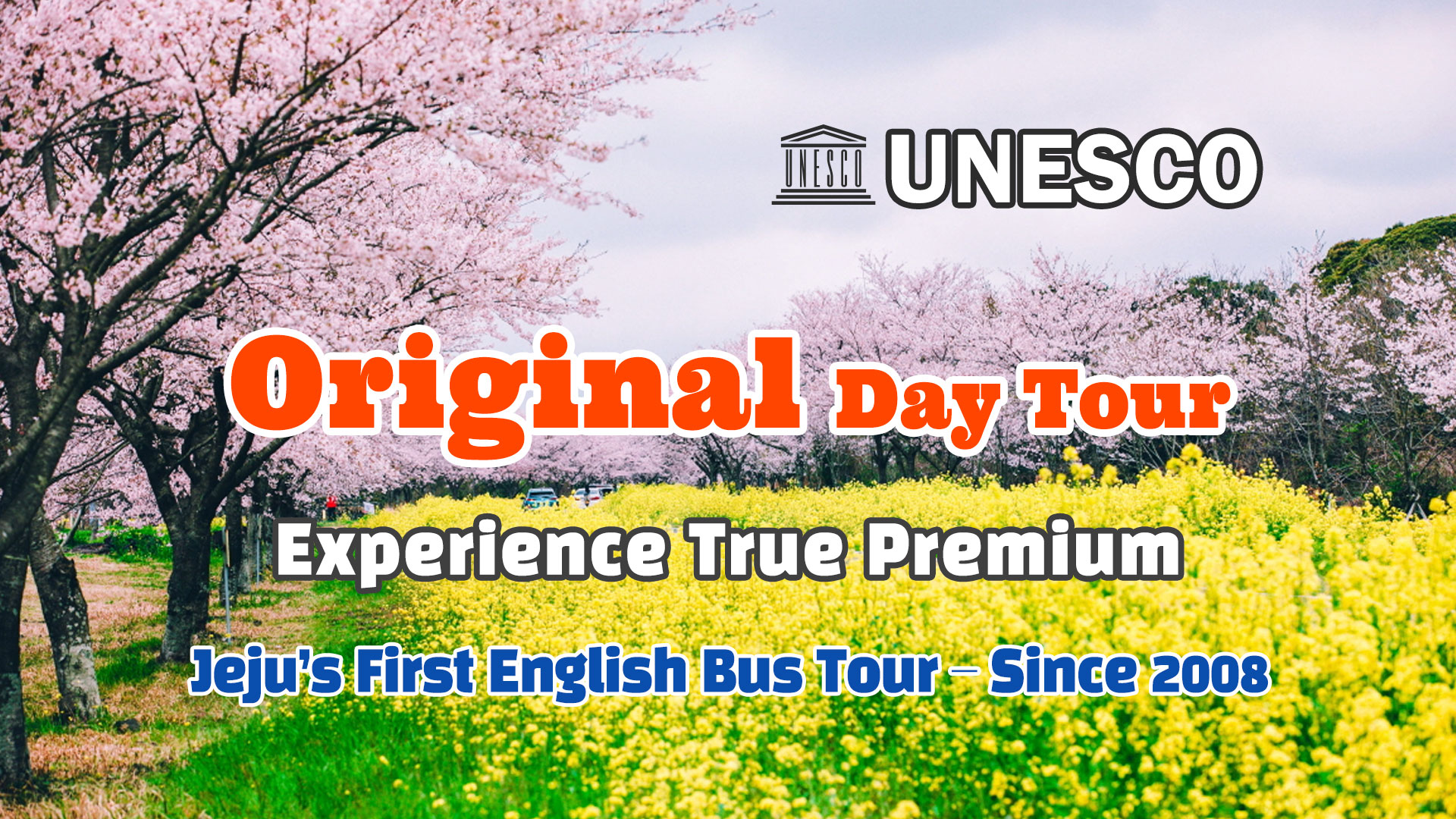 济州联合国教科文组织一日游 - 体验真正的奢华