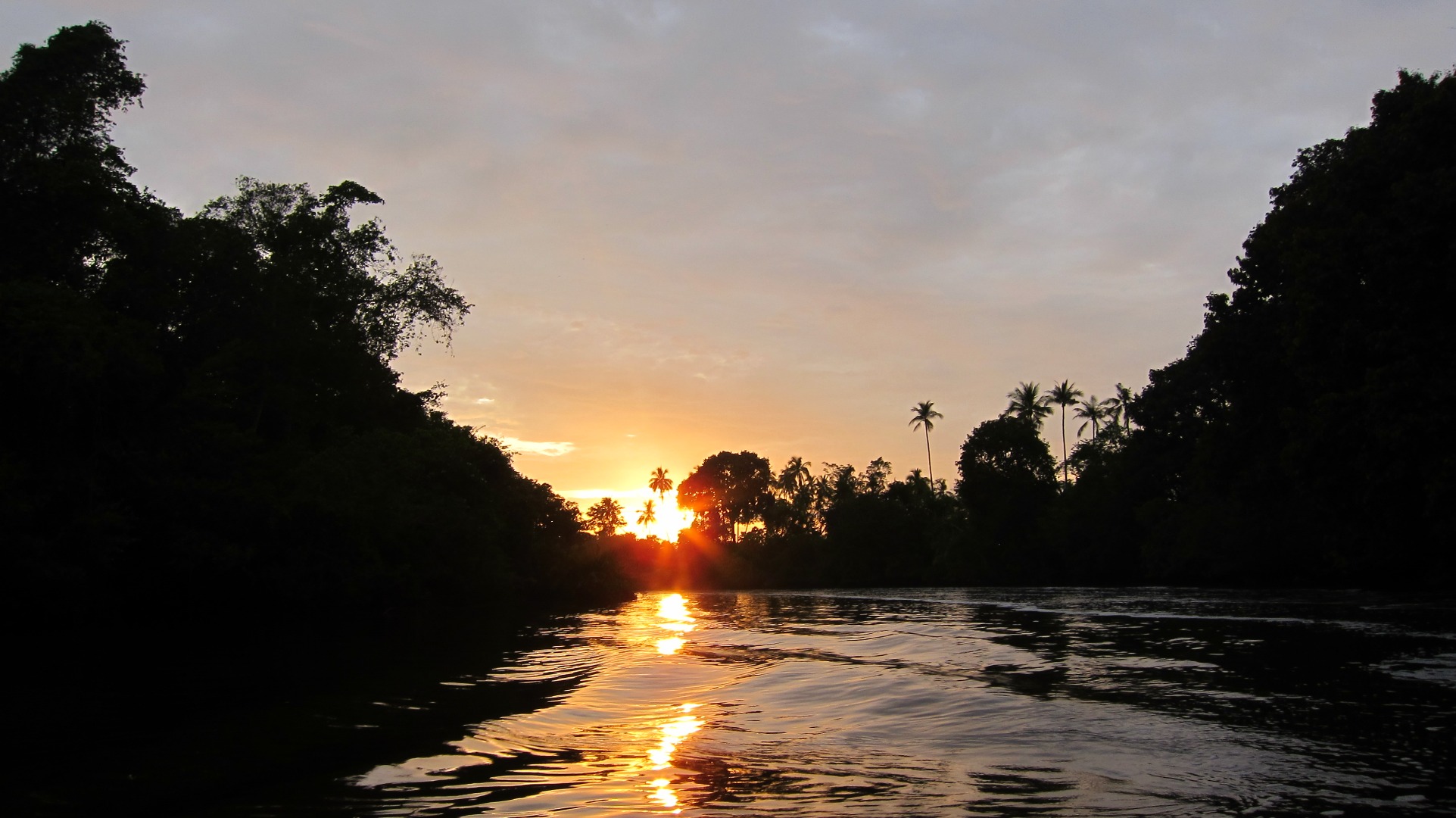 克里亚斯红树林长鼻猴＆萤火虫游船之旅