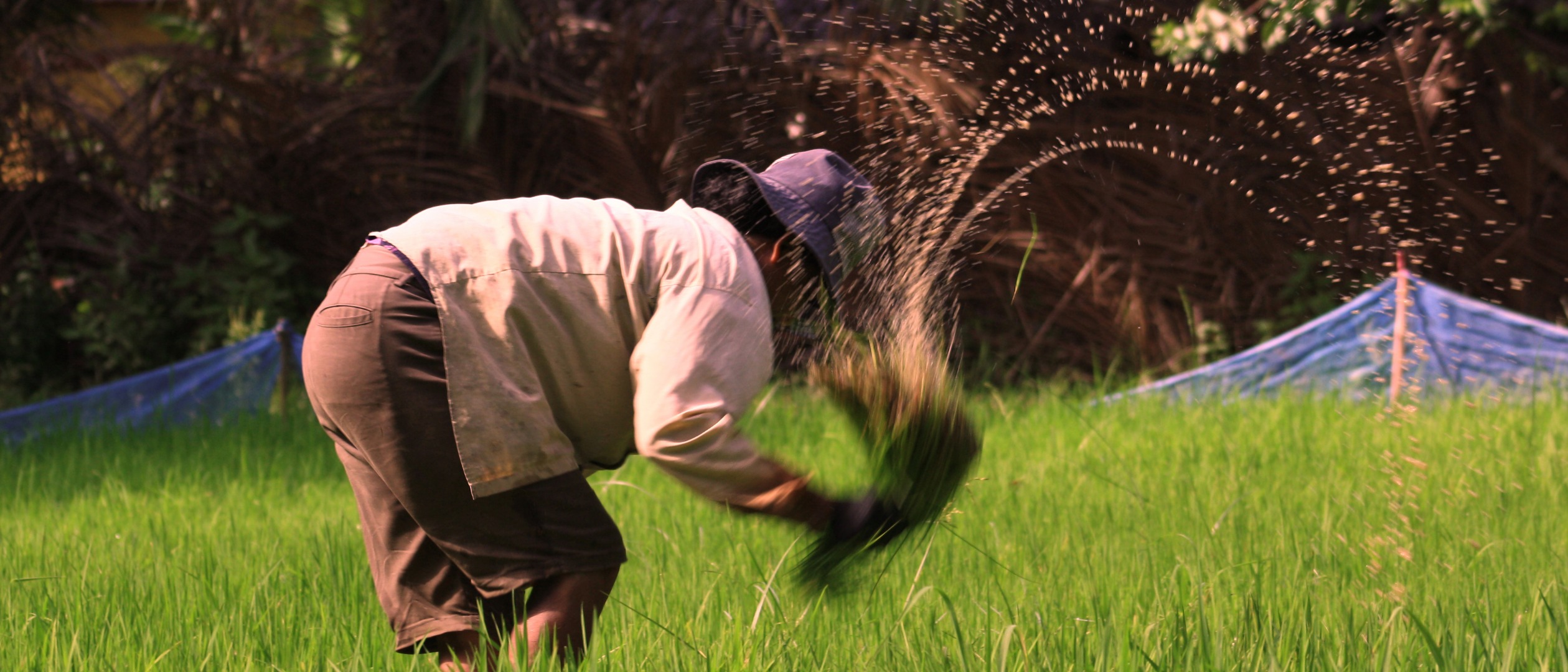 甲虫村农民生活体验