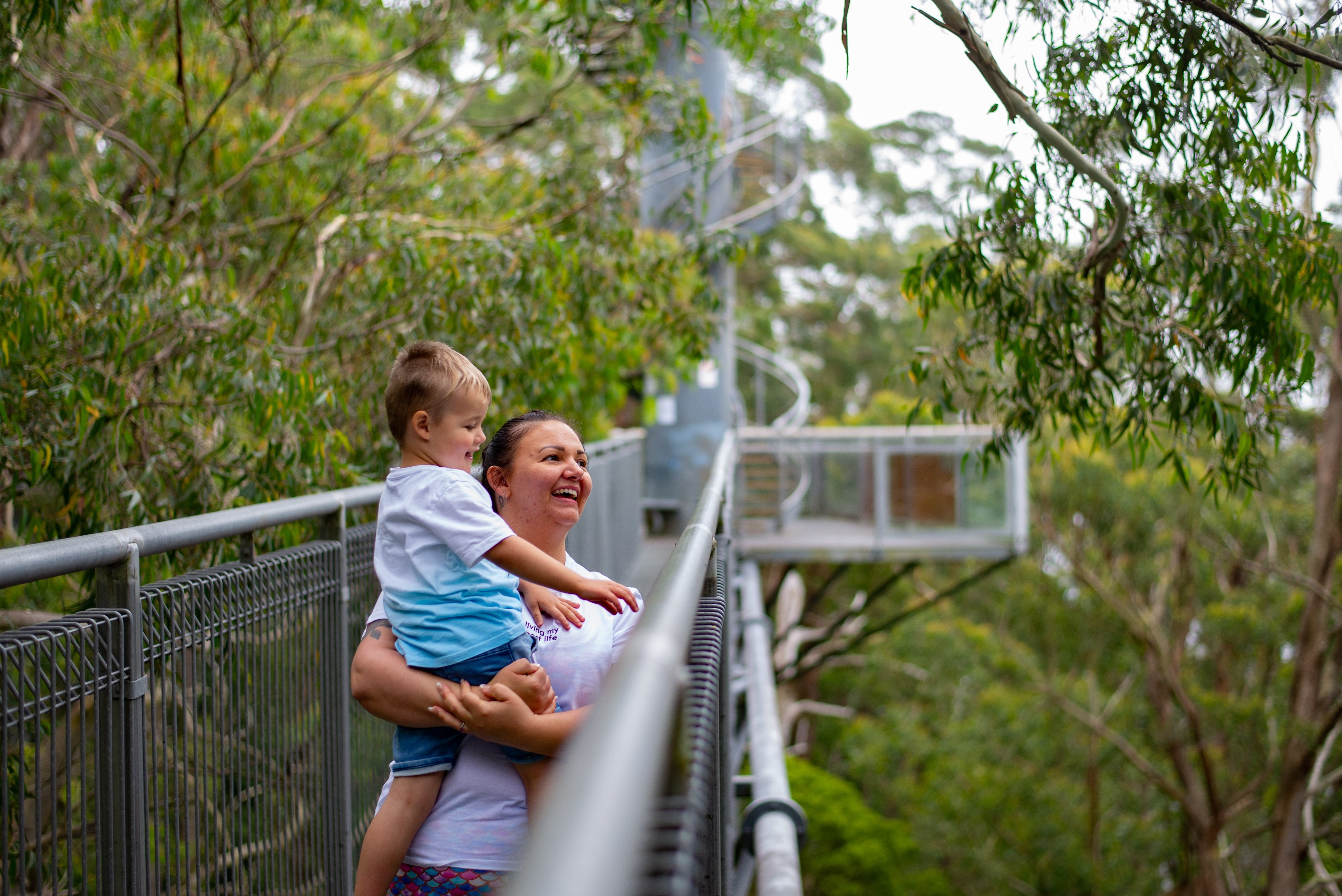 伊拉瓦拉飞天步道门票
