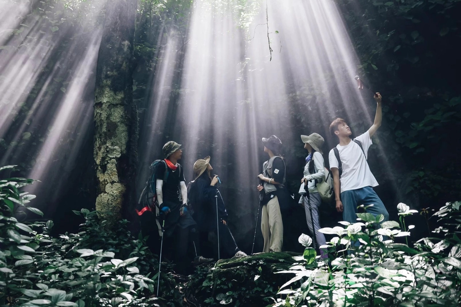 贵州荔波小七孔+茂兰探洞徒步+森林溯溪2日游