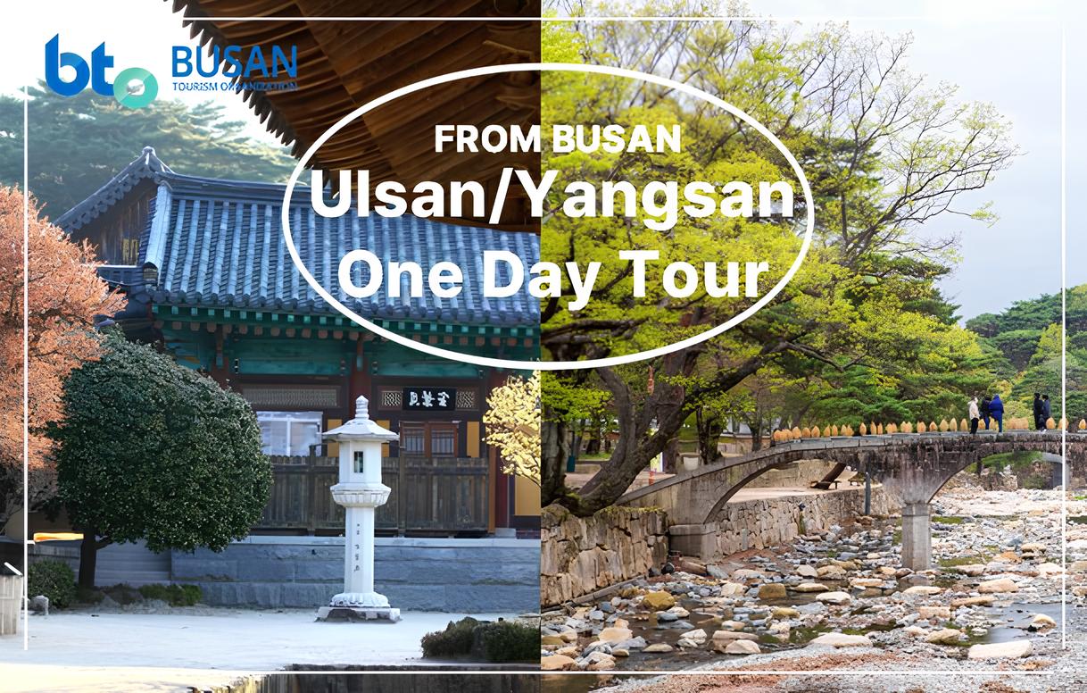 [釜山出发限定] 蔚山 & 梁山一日游
