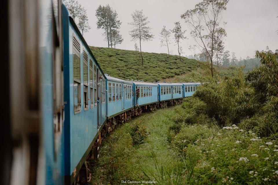 康提到努沃勒埃利耶观光火车一等座预订