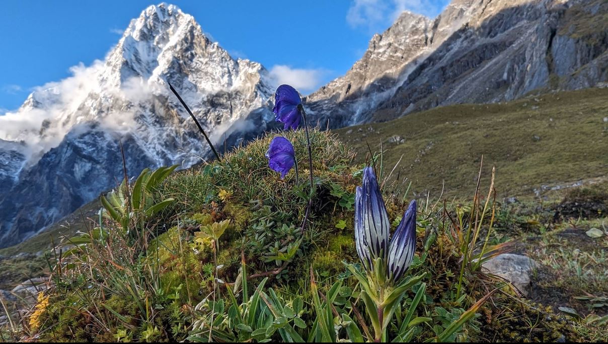 尼泊尔卓拉策峰探险之旅