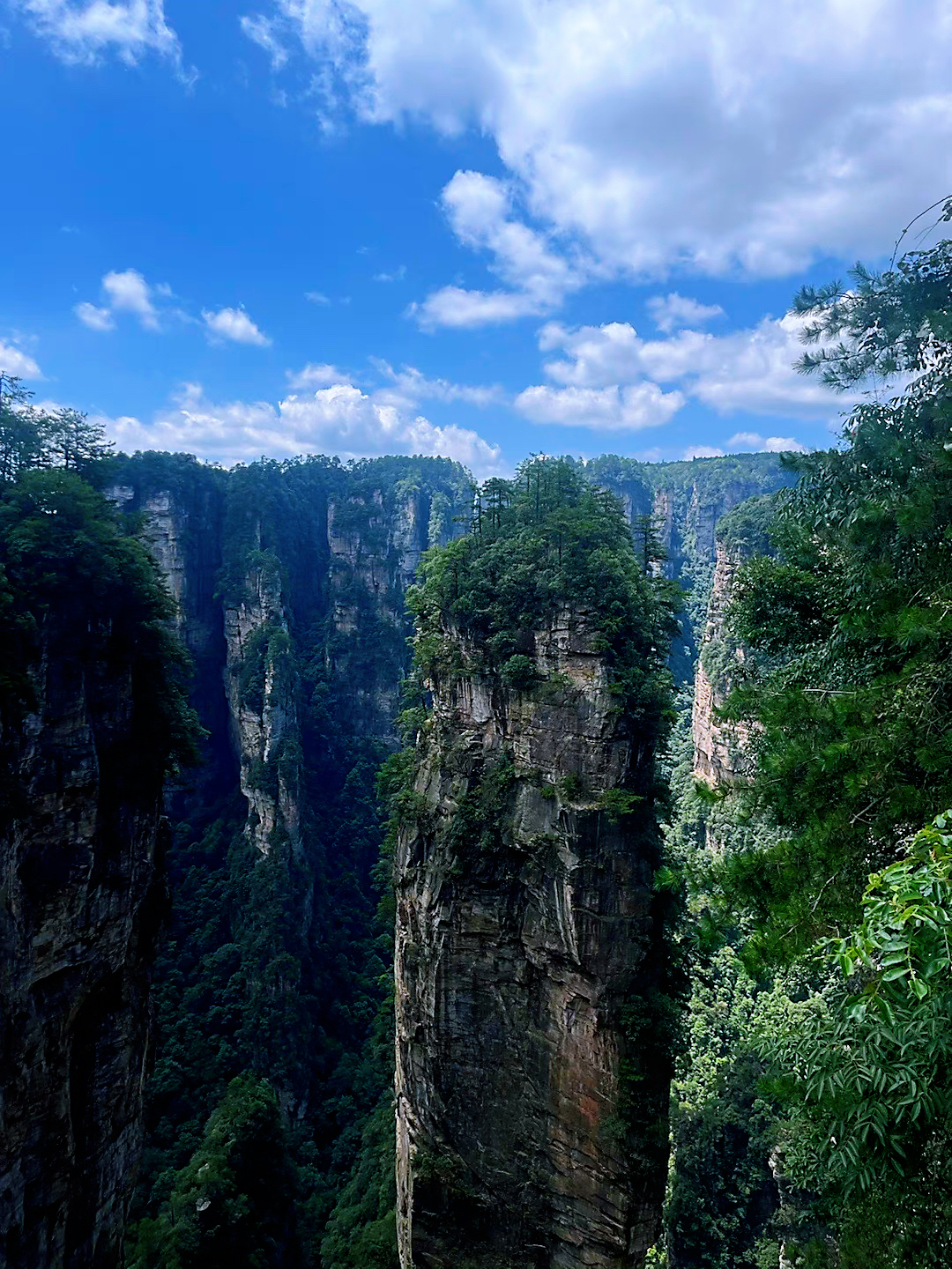  张家界国家森林公园 英文私家团一日游