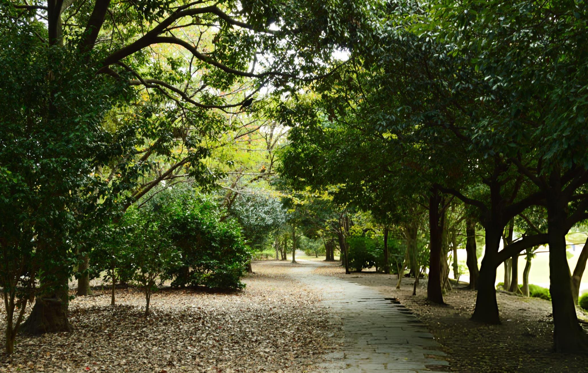 昌迪加尔绿道徒步导览游