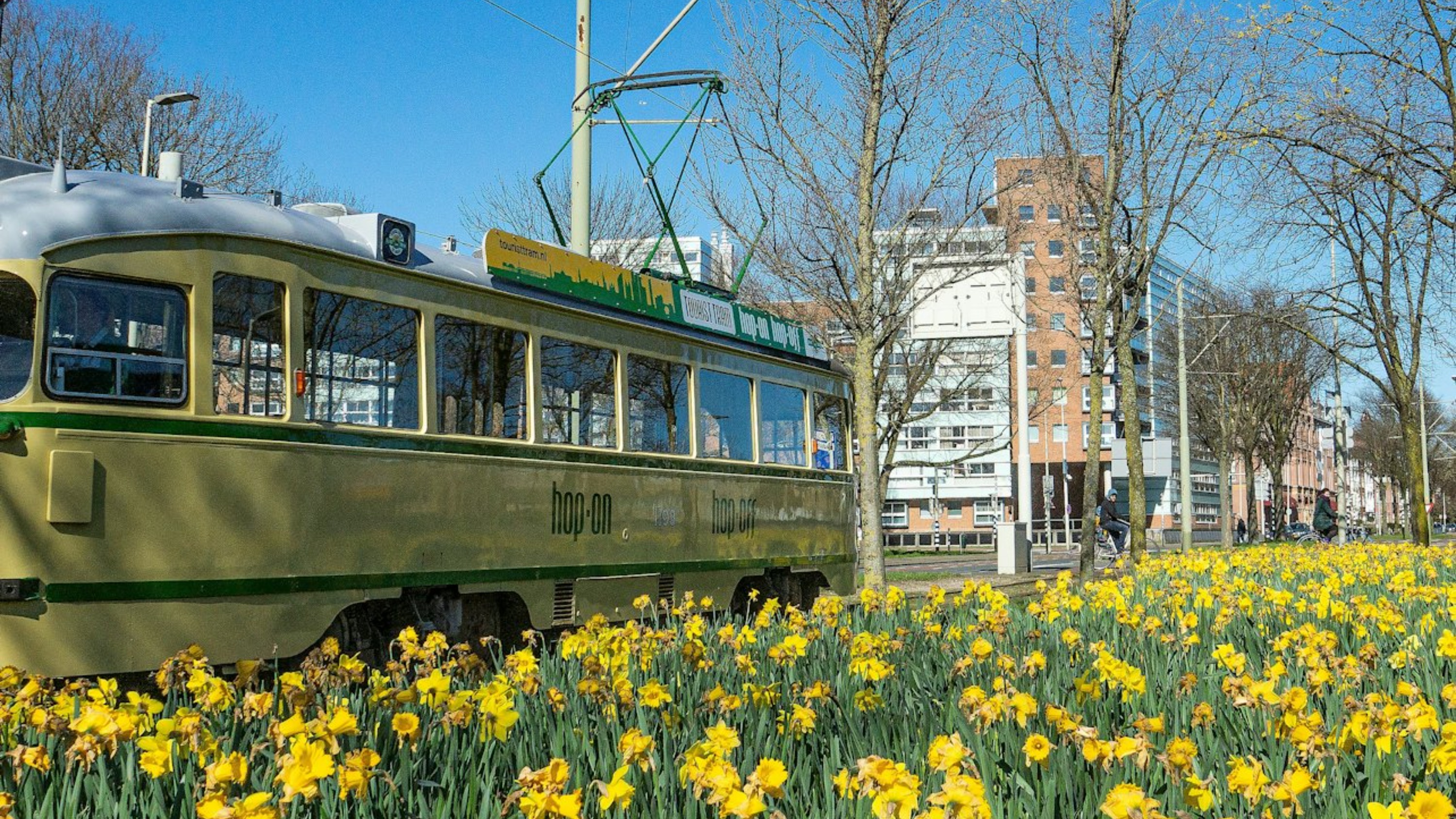 海牙随上随下观光电车