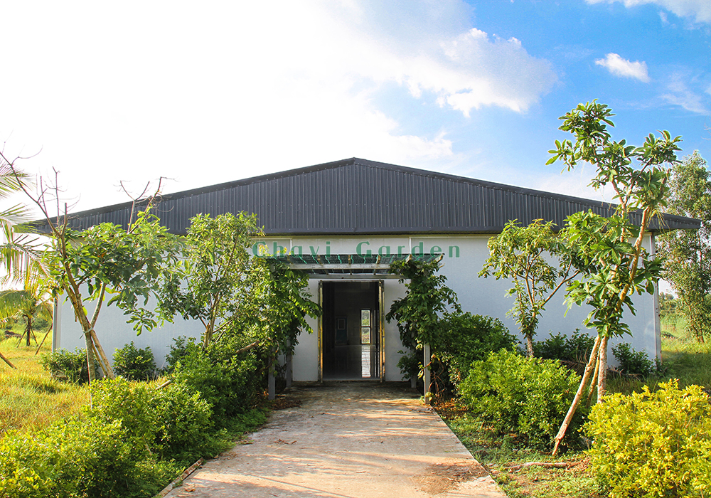 在隆安 Chavi Garden 体验泥浆与草药矿物浴