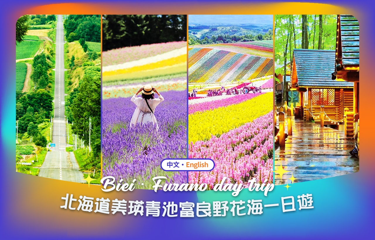 白金青池 & 森林精灵露台 & 四季彩之丘/富田农场赏花一日游 (札幌出发)