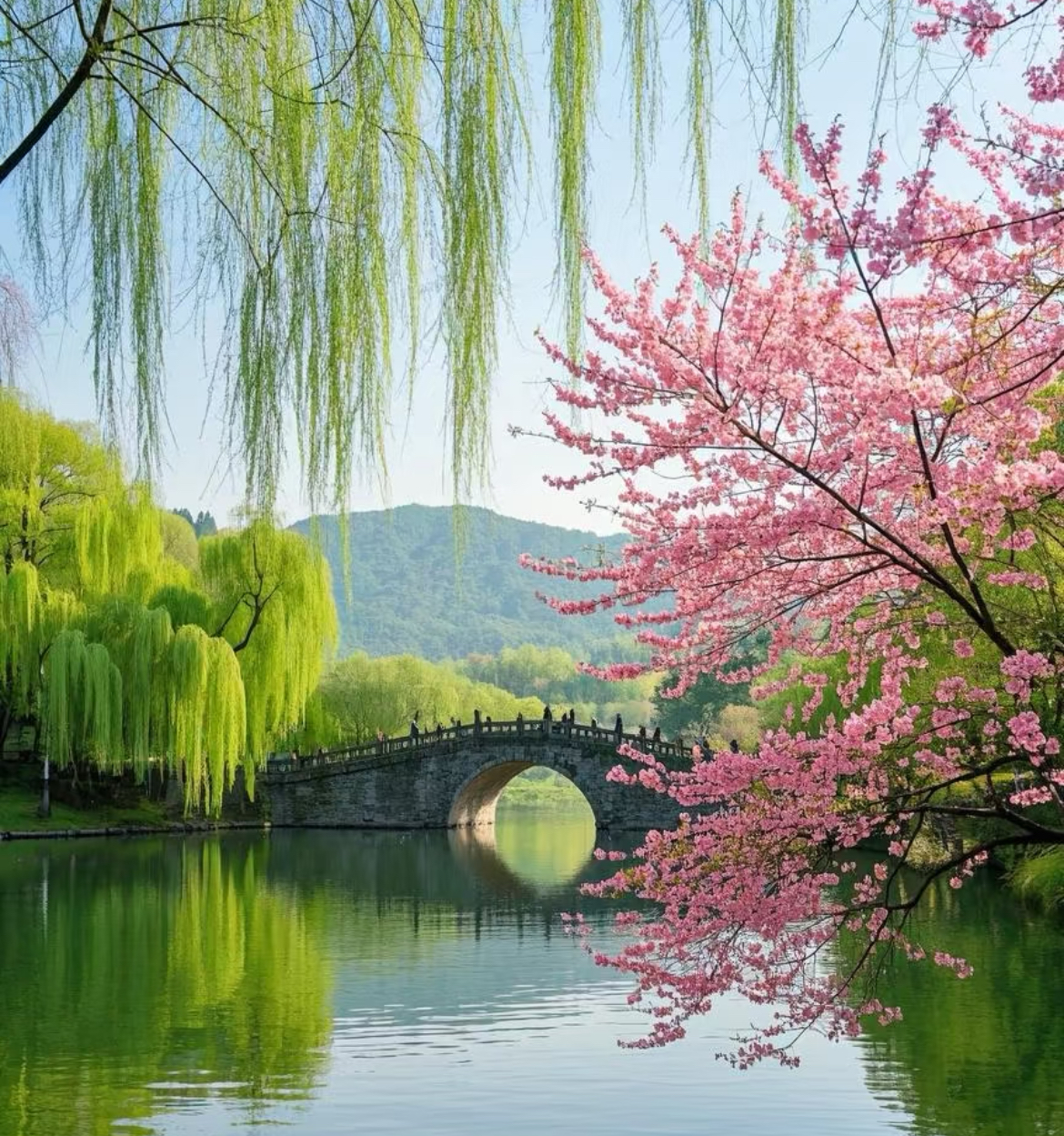 杭州西湖画舫船登岛+非遗画扇体验经典半日游（赏三潭印月+花港观鱼+湖畔大学+乌龟潭+状元坊）