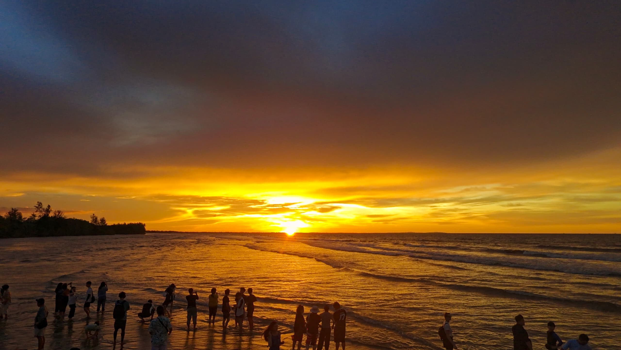 沙巴邦阿湾红树林河游船 & 萤火虫之旅 