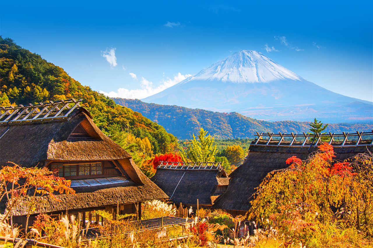 富士山探索之旅-新仓山浅间公园·天梯小镇·忍野八海·河口湖大石公园·西湖疗愈里根场一日游