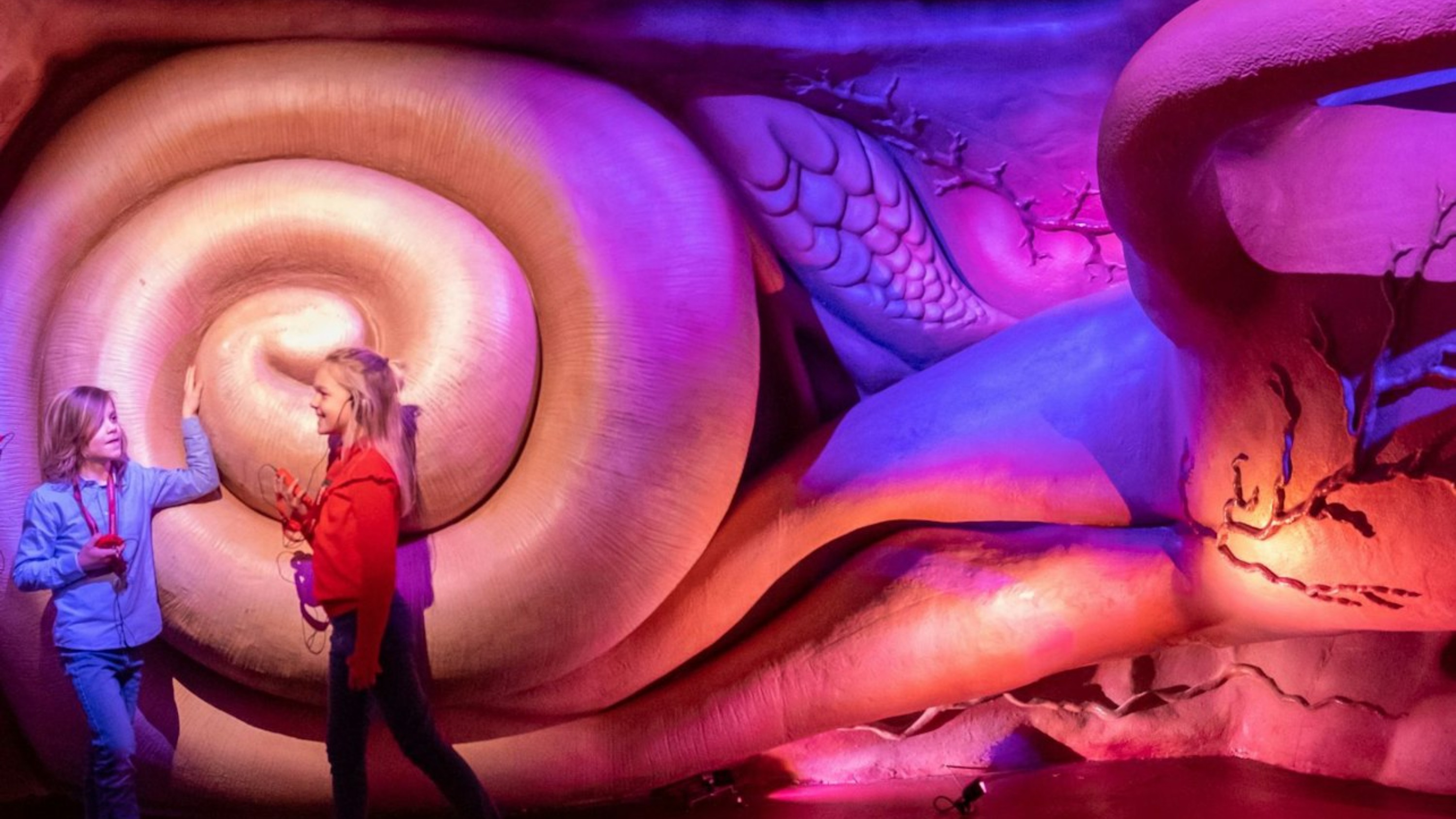 莱顿人体博物馆 (CORPUS) 门票 - 奥赫斯特海斯特