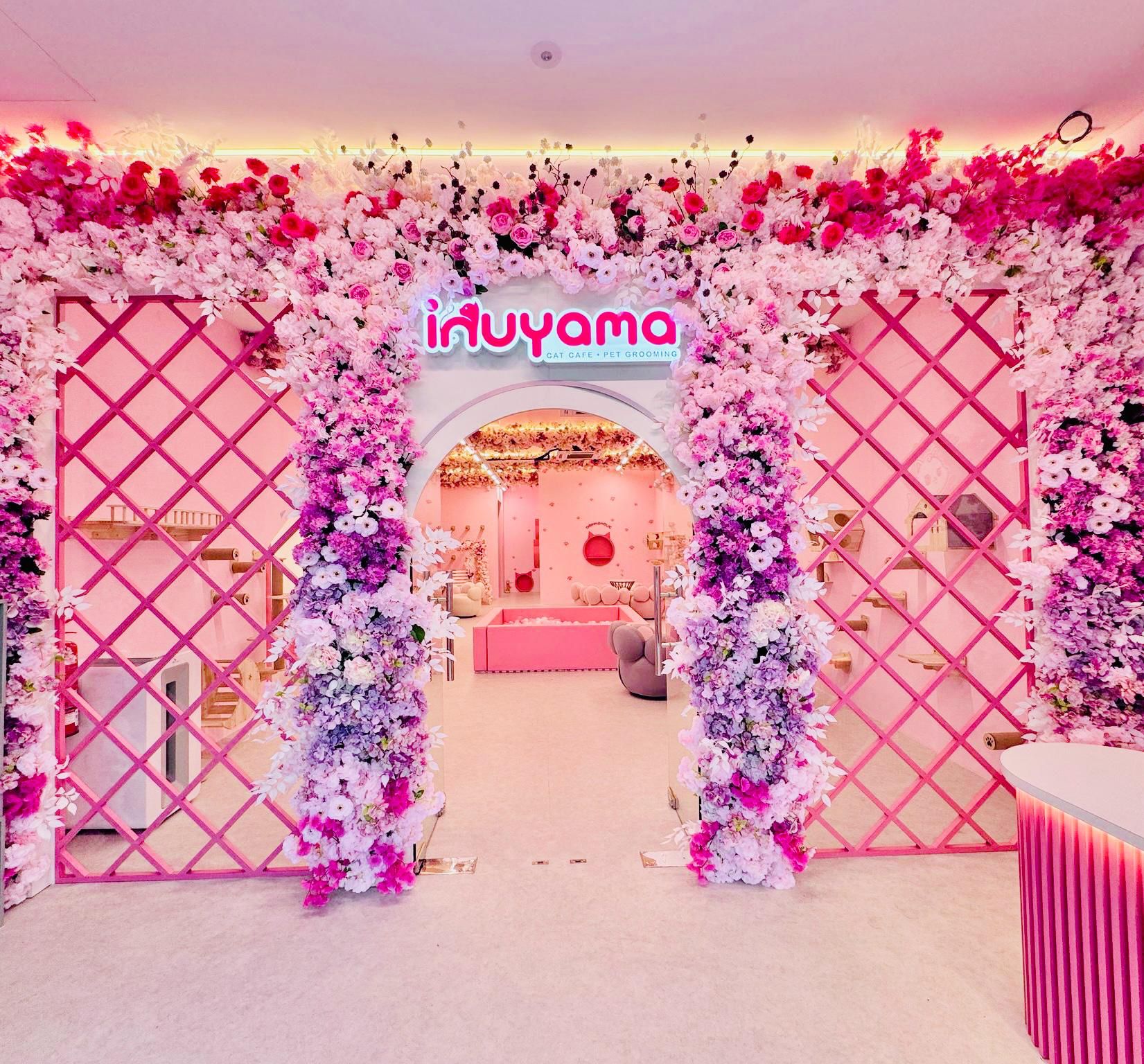 犬山猫咪咖啡馆 