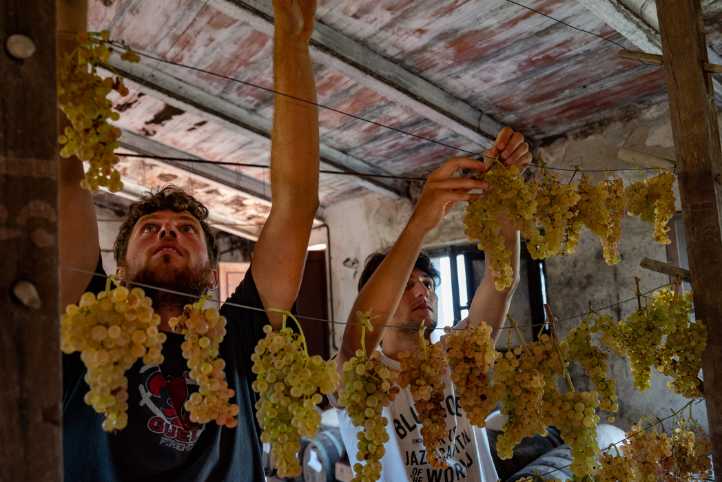 托斯卡纳美食美酒之旅：品味托斯卡纳葡萄酒