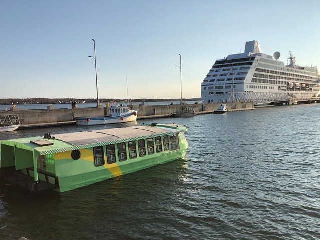 夏洛特敦港生态游船体验