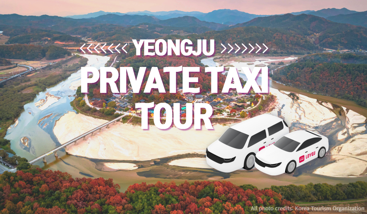 荣州私人包车游览