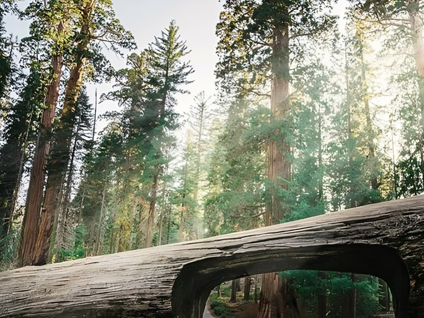 洛杉矶2天1夜国家公园和好莱坞星光大道之旅 