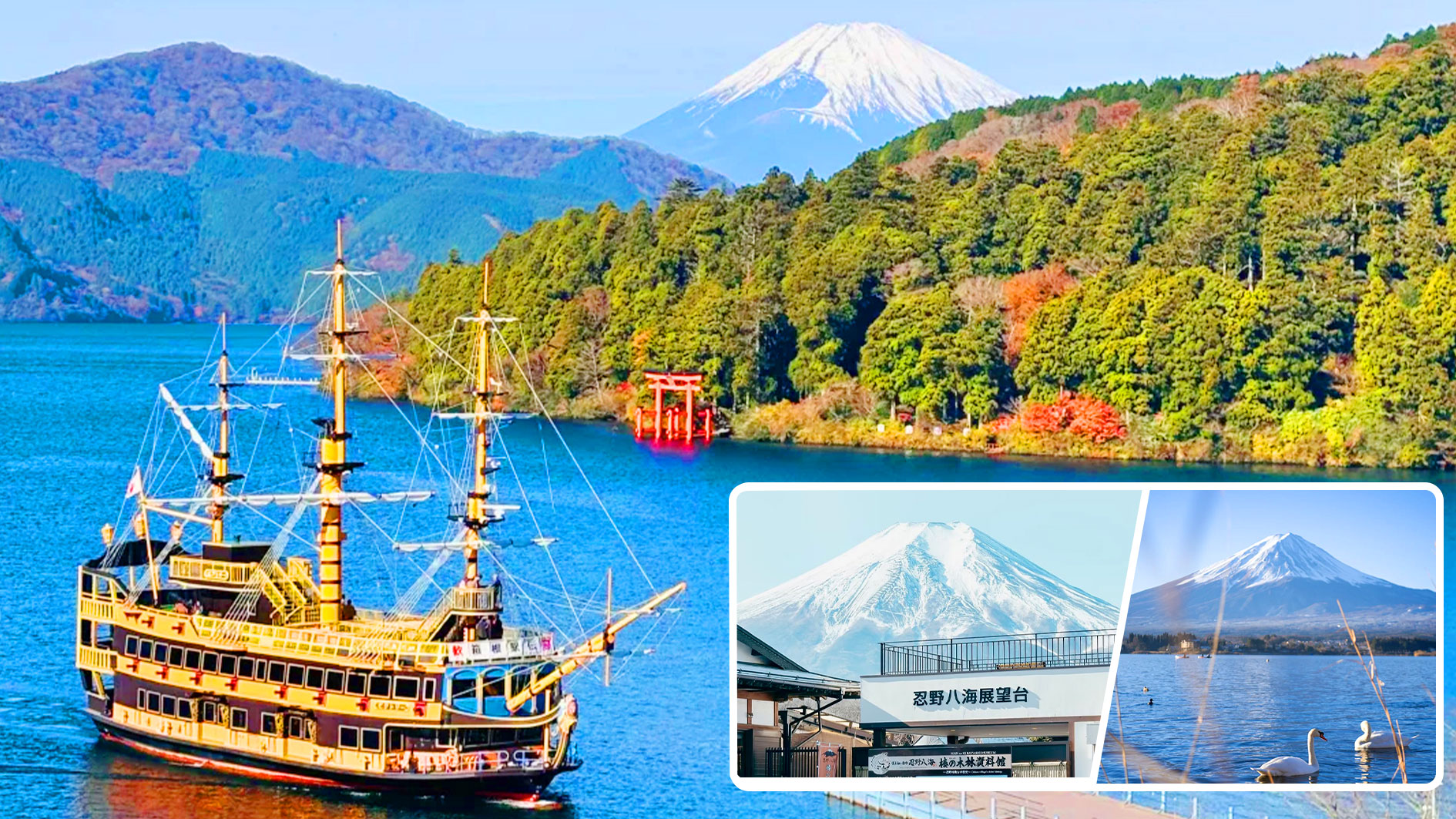 富士山箱根一日游 含缆车体验 - 山中湖天鹅 &忍野八海美景 &鸟居倒影&大涌谷火山奇观 (东京出发）