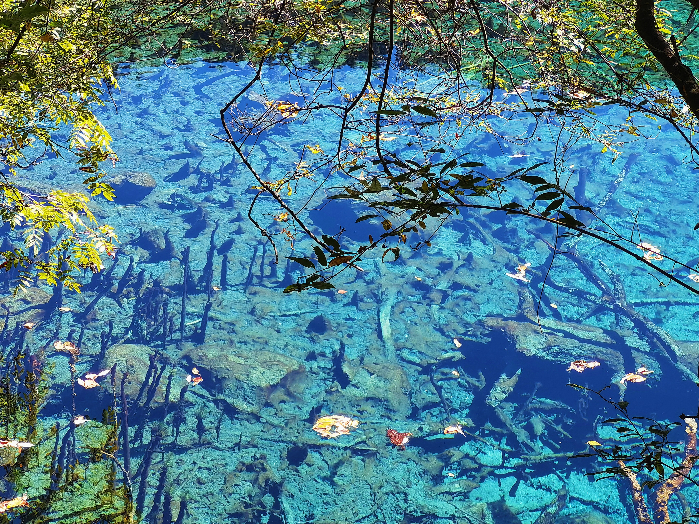 四川黄龙九寨沟动车往返2日游（2-8人小团+赠送九寨旅拍+仙女的后花园+天上瑶池+人间九寨+“水景之王”+成都往返）