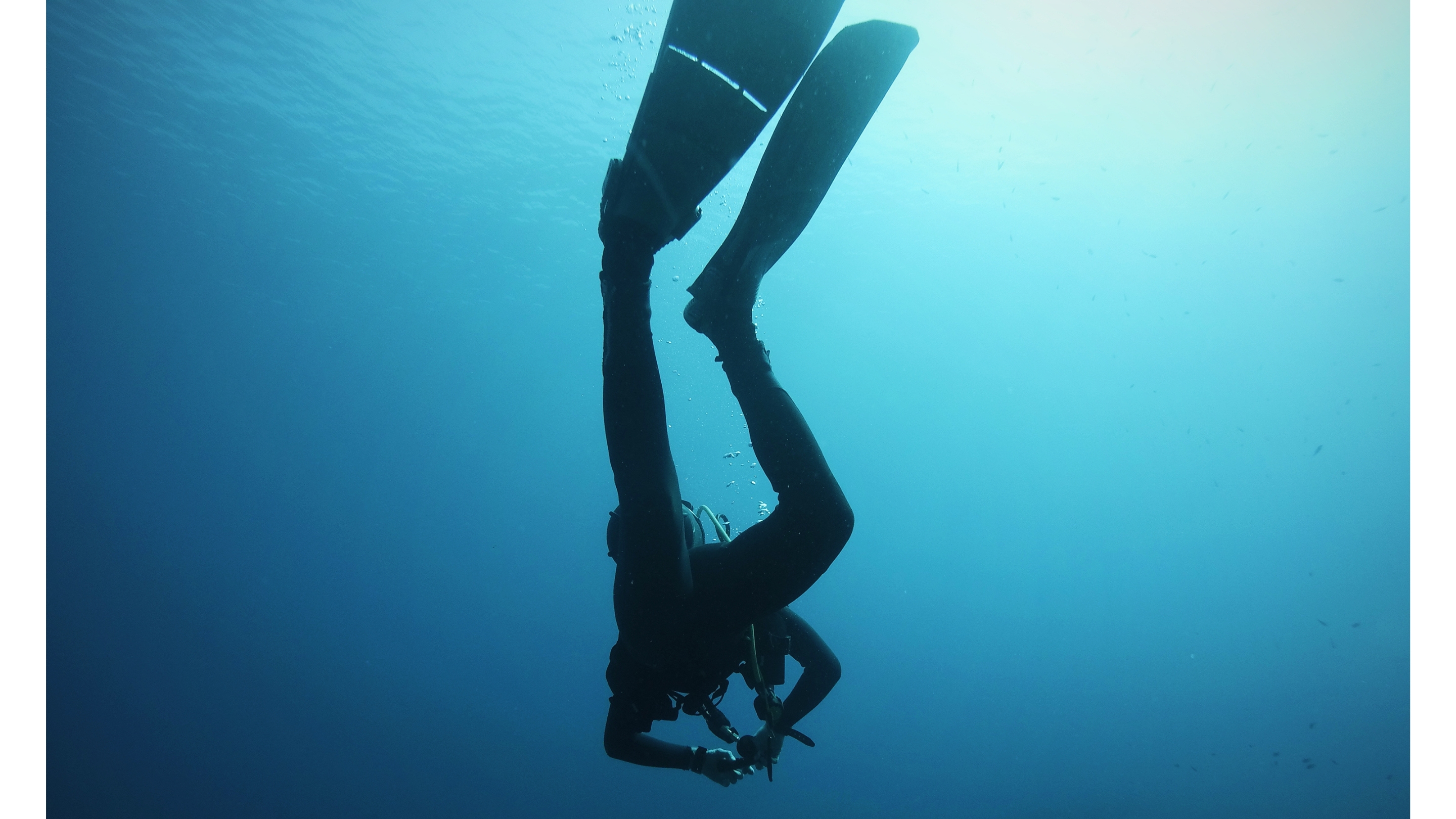 撒丁岛水肺潜水：马达莱纳群岛和拉韦齐岛 