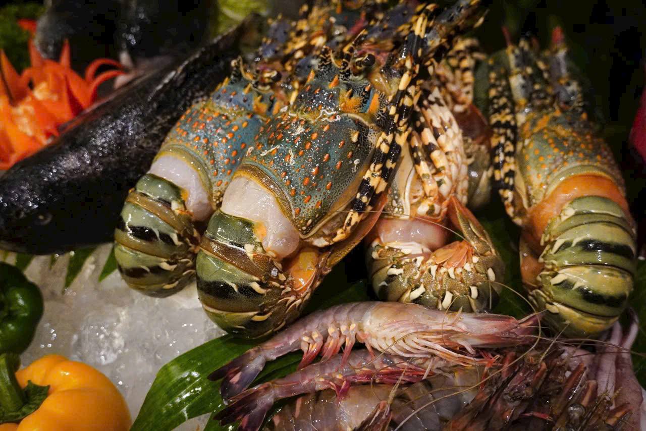 Sheraton Hanoi West 饭店国际自助餐