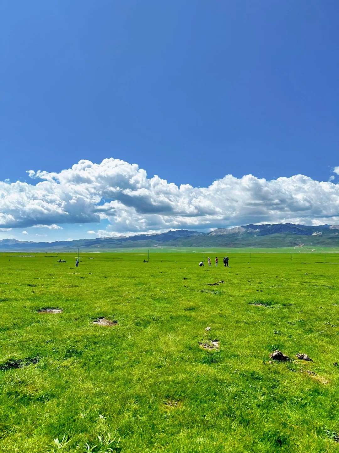 西宁什卡雪峰+卓尔山祁连大草原一日游（邂逅岗什卡雪峰云端仙境）