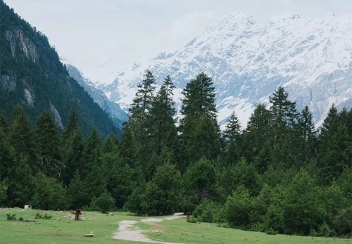 西藏野奢藏东林芝秘境5日游（南迦巴瓦日照金山+雅鲁藏布江+鲁朗林海+岗云杉林轻徒步+牧场生活+圣湖巴松措+松赞南迦巴瓦+松赞波密林卡）