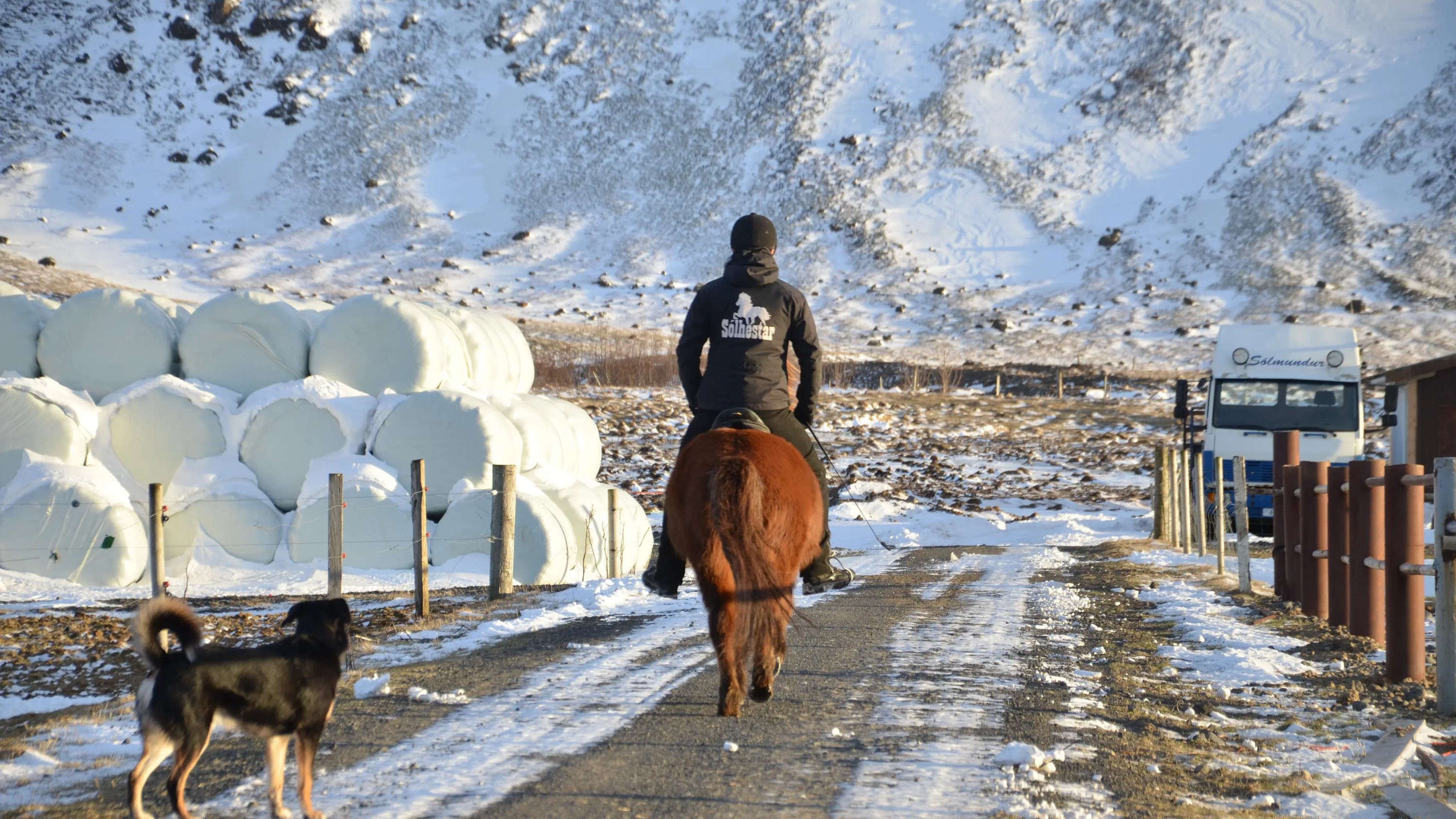 雷克雅未克山谷温泉蒸汽谷骑马体验