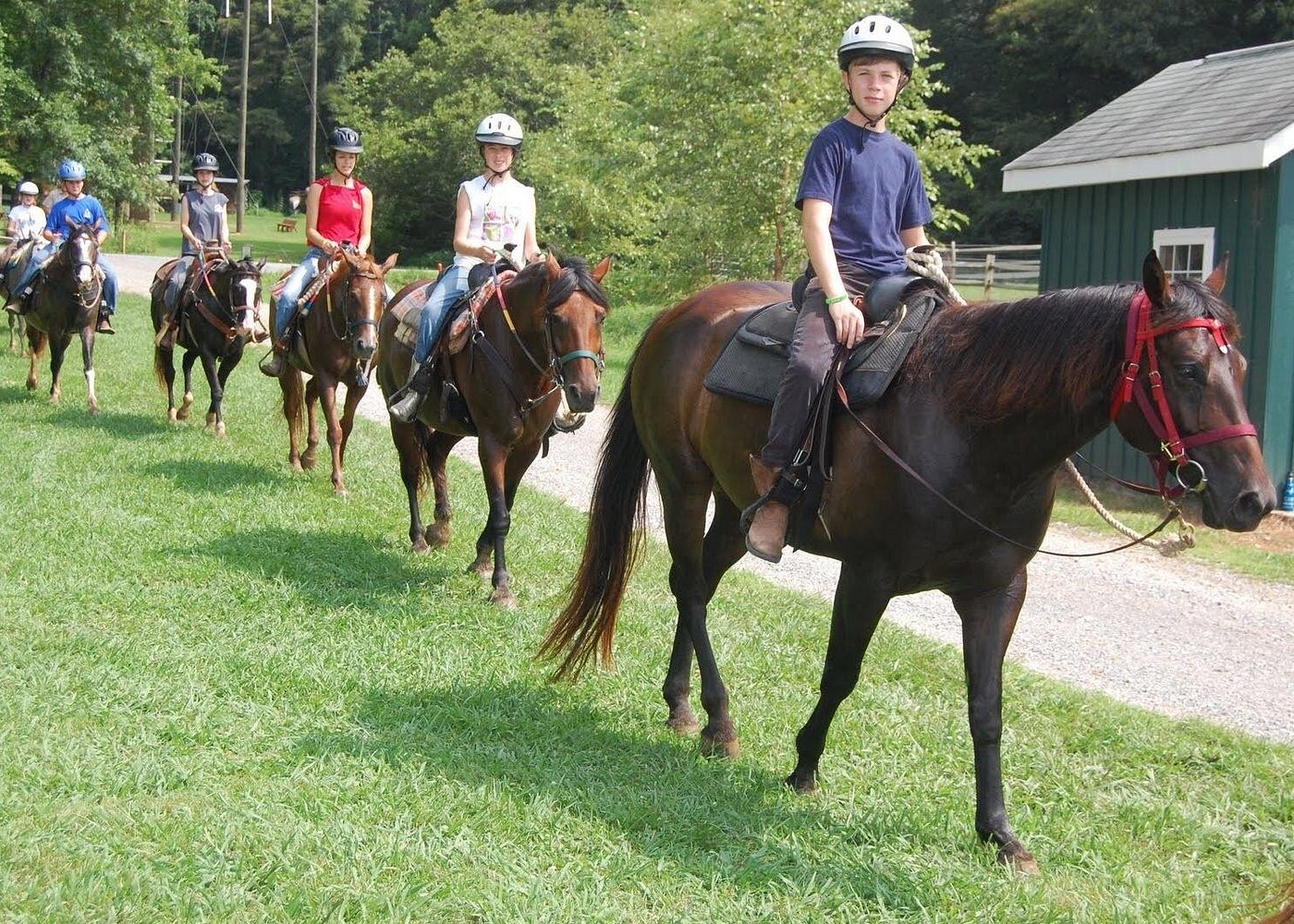 博德鲁姆骑马之旅（含往返接送）