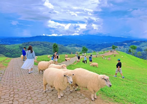 清莱白庙、Yayo农场下午茶和Akha FarmVille