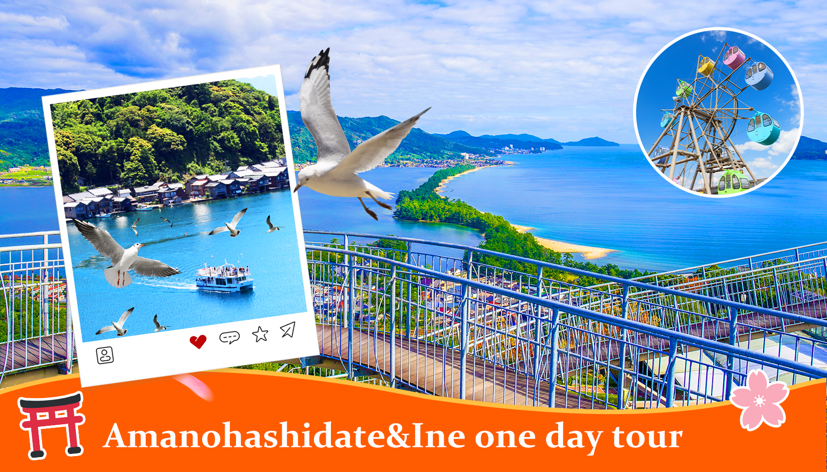 夏日推荐｜伊根湾限定｜乘浪追鸥天桥立伊根一日游｜伊根舟屋&伊根湾游船&天桥立缆车&智恩寺&回旋桥｜可选大阪or京都出发