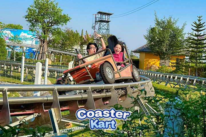 布法罗岛度假村和丛林探险公园下午茶 