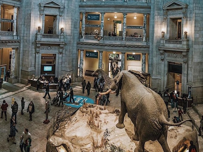 华盛顿特区史密森尼自然历史博物馆之旅