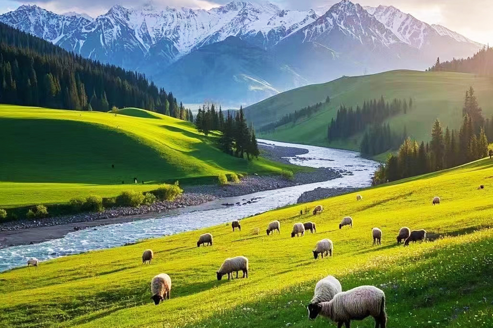 新疆北疆天山牧歌私家8日游（赛里木湖下午茶+夏塔草原+昭苏天马浴河+库尔德宁+那拉提草原+独库公路+安集海大峡谷）